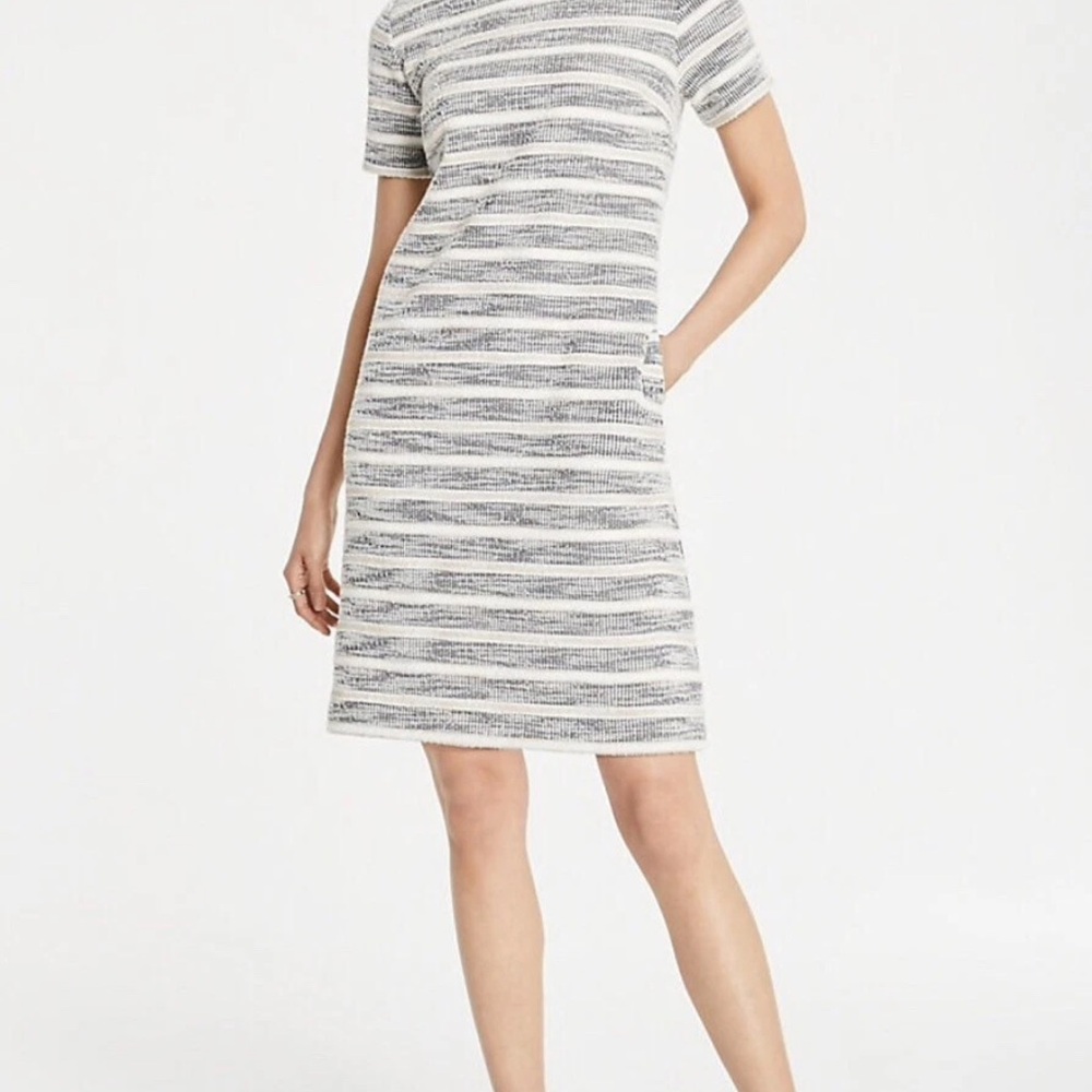Ann Taylor Textured Stripe Knit Shift Dress